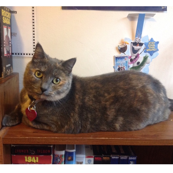 ๐๐๐LULUโS BIRTHDAY BUNDLE!!!๐๐๐ - Picture 8 of 8